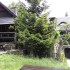 rownica_6-min